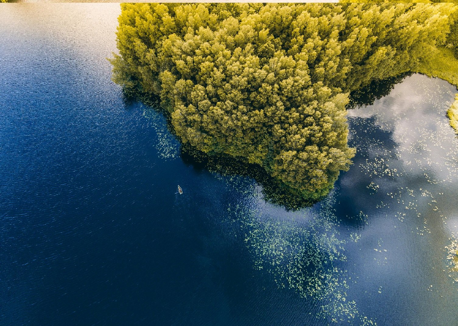 Navigating Political Adversaries in the Estonian Blockchain Industry